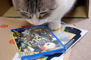 Illustration for article titled Cats Are Very Serious about Video Games